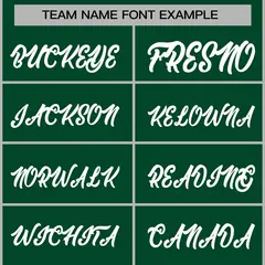 Green White Raglan Varsity Full-Snap Letterman Jacket 5