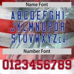 Grey American Flag Independence Day Waterproof Jacket 4