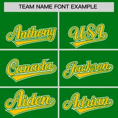 Kelly Green Gold White Star Series Lace-Up Neck Hockey Jersey 3