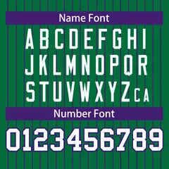 Kelly Green Purple-White Stripe Full Button Baseball Jersey 4