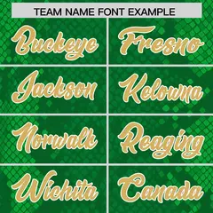 Kelly Green Snakeskin Graffiti Pattern Football Jersey 3