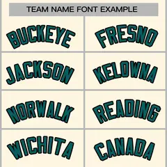 Khaki Aqua-Black Classic Varsity Full-Snap Letterman Jacket 5