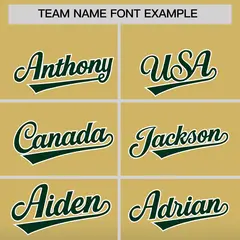 Khaki Green Gradient Varsity Full-Snap Letterman Jacket Hoodie 5