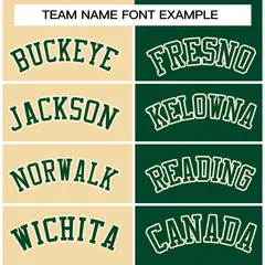 Khaki Green-Green Two Tone Split Varsity Full-Snap Letterman Jacket 5