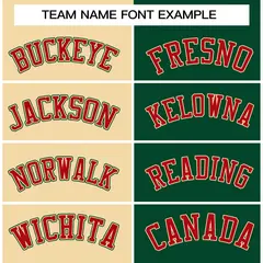 Khaki Green-Green Two Tone Split Varsity Full-Snap Letterman Jacket 5