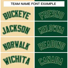 Khaki Green-Green Two Tone Split Varsity Full-Snap Letterman Jacket 5