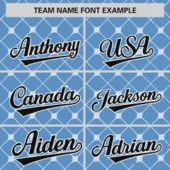 Light Blue Black-White Plaid Authentic Baseball Jersey 3