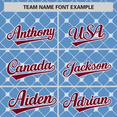 Light Blue Crimson-White Plaid Authentic Baseball Jersey 3