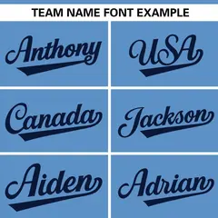 Light Blue Navy Full Button Authentic Baseball Jersey 3
