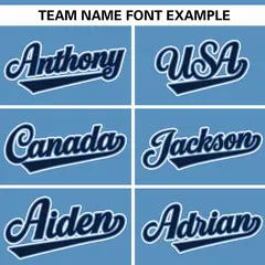 Light Blue Navy Raglan Gradient Thick Stripe Baseball Jersey 3