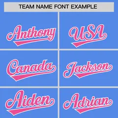 Light Blue Pink Stripe Animals Graffiti Raglan Baseball Jersey 3