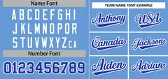 Light Blue Royal-White Stripe Raglan Baseball Jersey 3