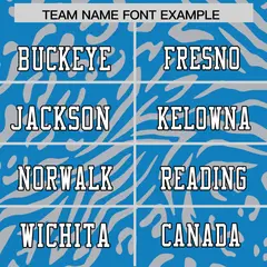 Light Blue White-Black Zebra Stripes Football Jersey 3