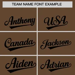 Light Brown Black Classic Authentic Baseball Jersey 3