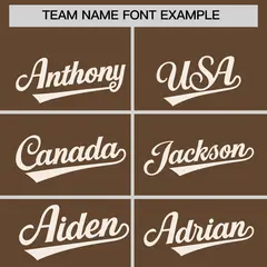 Light Brown Cream Classic Authentic Baseball Jersey 3