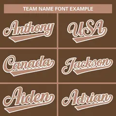 Light Brown Full-Snap Raglan Varsity Letterman Baseball Jacket 5