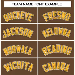 Light Brown Gold-Light Brown Raglan Varsity Full-Snap Letterman Jacket 5