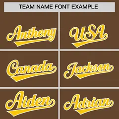 Light Brown Gold Two-Tone Varsity Letterman Bomber Jacket 3