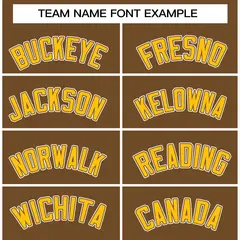 Light Brown Gold-White Raglan Varsity Full-Snap Letterman Jacket 3