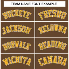 Light Brown Gold-White Raglan Varsity Full-Snap Letterman Jacket 5