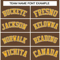 Light Brown Gold-White Raglan Varsity Full-Snap Letterman Jacket 5