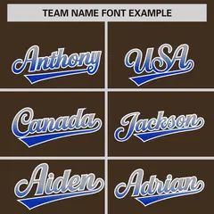 Light Brown Gray-Royal Gradient Varsity Full-Snap Raglan Baseball Jacket 3