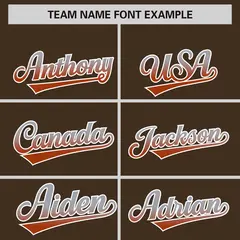 Light Brown Gray-Texas Orange Gradient Varsity Full-Snap Raglan Baseball Jacket 3