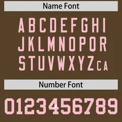 Light Brown Light Pink Sequin Lettering Football Jersey 4
