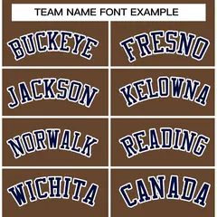 Light Brown Navy-White Varsity Full-Snap Letterman Jacket 5