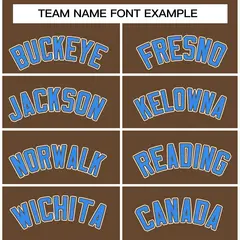 Light Brown Powder Blue-Khaki Varsity Full-Snap Letterman Jacket 5