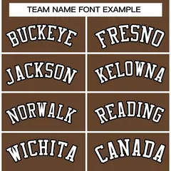 Light Brown White-Black Varsity Full-Snap Letterman Jacket 5