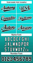 Light Green Aqua Black-White Gradient Two-Button Softball Jersey 3