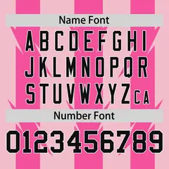 Light Pink Pink Blade Pattern Raglan Baseball Jersey 4