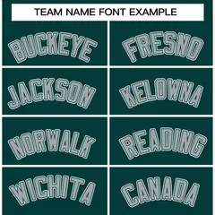 Midnight Green Gray-White Varsity Full-Snap Letterman Jacket 5