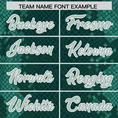 Midnight Green Snakeskin Graffiti Pattern Football Jersey 3