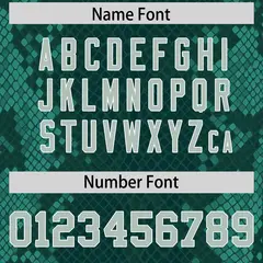 Midnight Green Snakeskin Graffiti Pattern Football Jersey 4