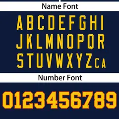 Navy Gold Full Button Authentic Baseball Jersey 4