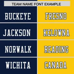 Navy Gold Split Two Tone Authentic Football Jersey 3