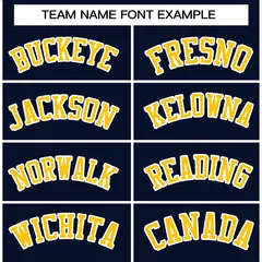 Navy Gold-White Varsity Full-Snap Letterman Jacket 5