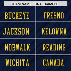 Navy Gray Tiger Stripe Graffiti Pattern Football Jersey 3