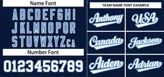 Navy White-Light Blue Stripe Raglan Baseball Jersey 3