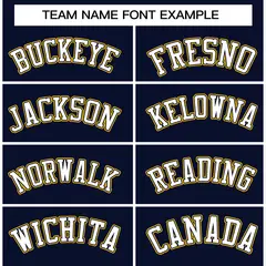 Navy White-Navy Raglan Varsity Full-Snap Letterman Jacket 5