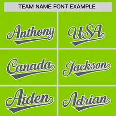 Neon Green Dark Gray Stripe Animals Graffiti Raglan Baseball Jersey 3