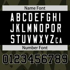 Olive Black Raglan Sleeves Camo Authentic Football Jersey 4