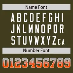 Olive Gray-Orange Gradient Varsity Full-Snap Raglan Baseball Jacket 4