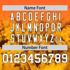Orange 3D Flower Design Authentic Baseball Jersey 4