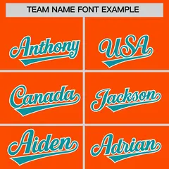 Orange Aqua Stripe Animals Graffiti Raglan Baseball Jersey 3