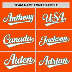 Orange Aqua Zebra Stripes Graffiti Authentic Baseball Jersey 3