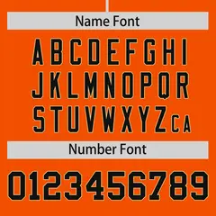 Orange Black Phonetic Rhythm Authentic Baseball Jersey 4