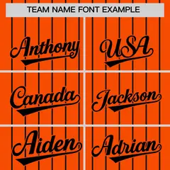 Orange Black Pinstripe Two-Tone Authentic Baseball Jersey 3